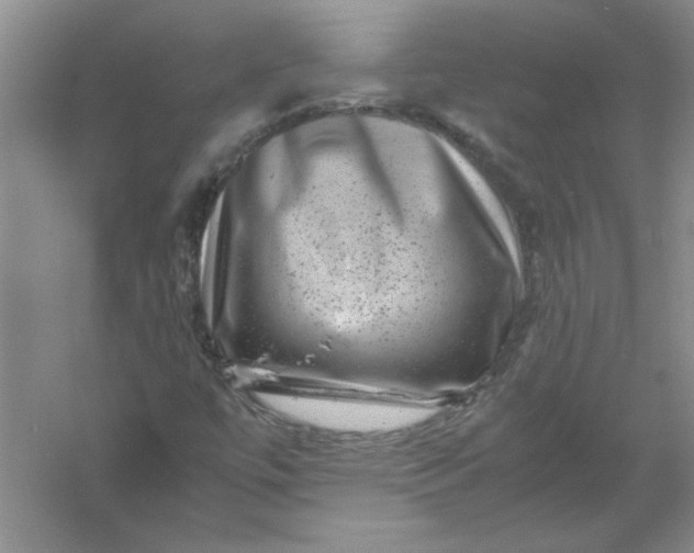 X0000061141447200512022234