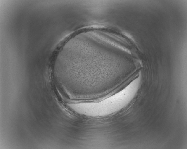 X0000061141448200512022234