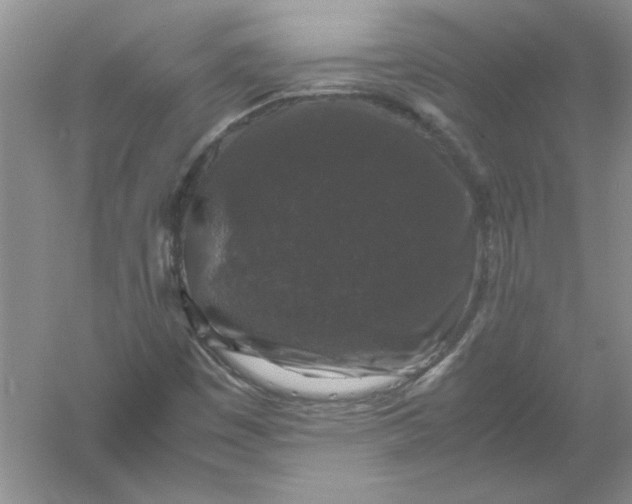 X0000061141449200512022234