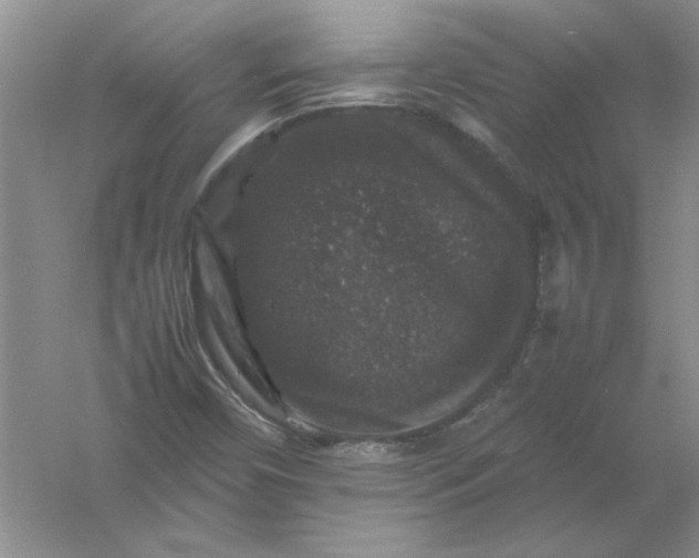 X0000061141450200512022234