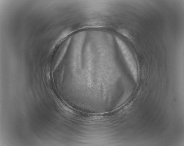 X0000061141451200512022234