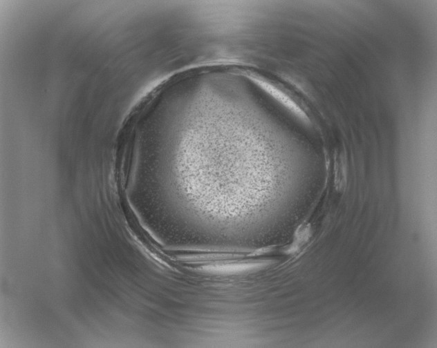 X0000061141452200512022234