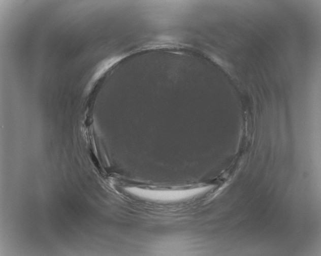 X0000061141453200512022234