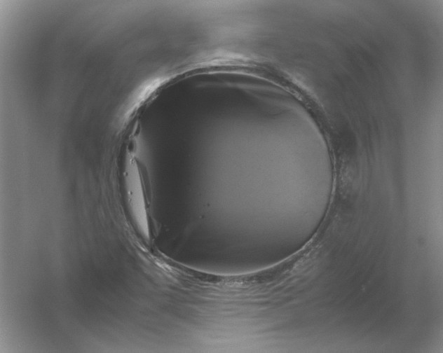 X0000061141455200512022234