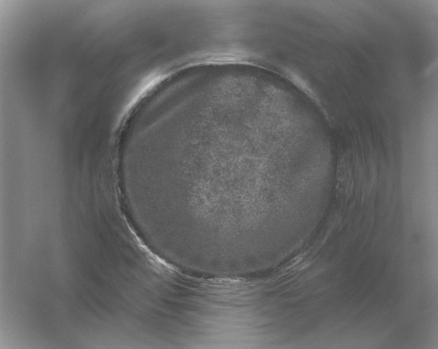 X0000061141456200512022234