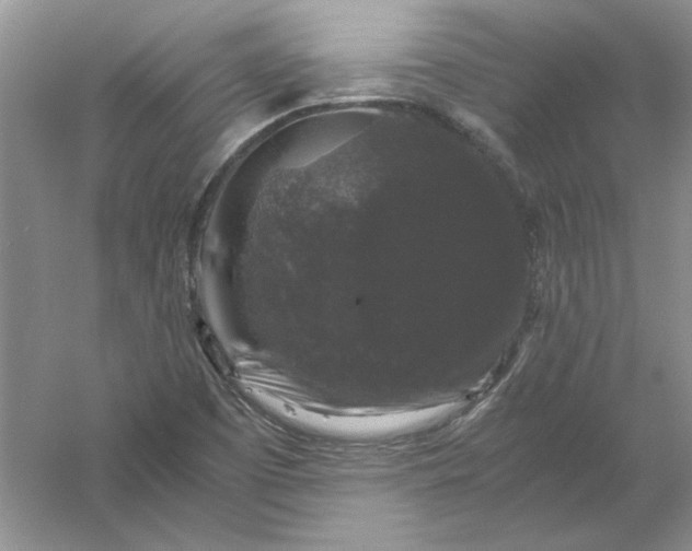 X0000061141457200512022234