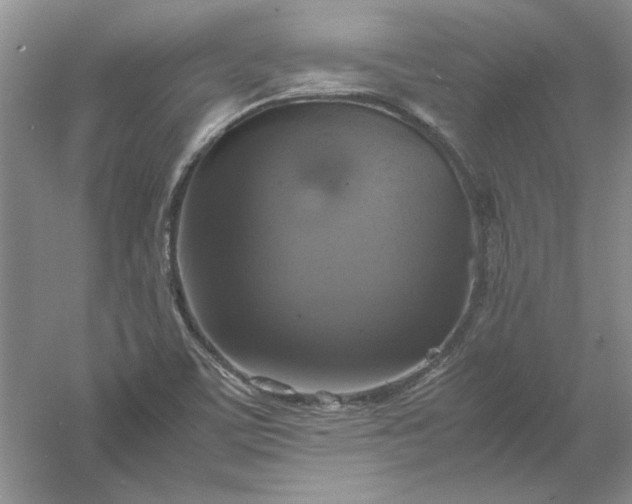 X0000061141459200512022234