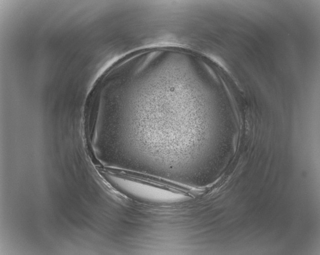 X0000061141460200512022234