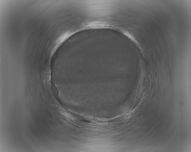 X0000061141461200512022234