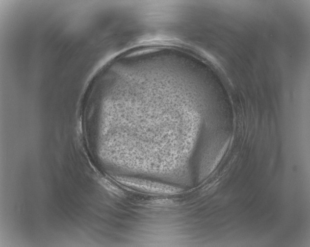 X0000061141462200512022234