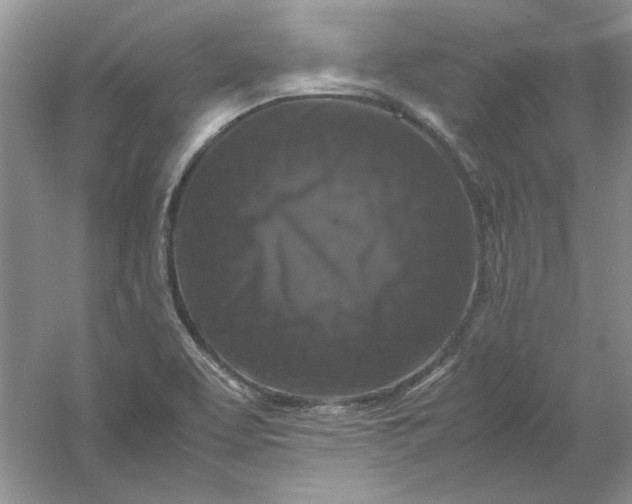 X0000061141463200512022234