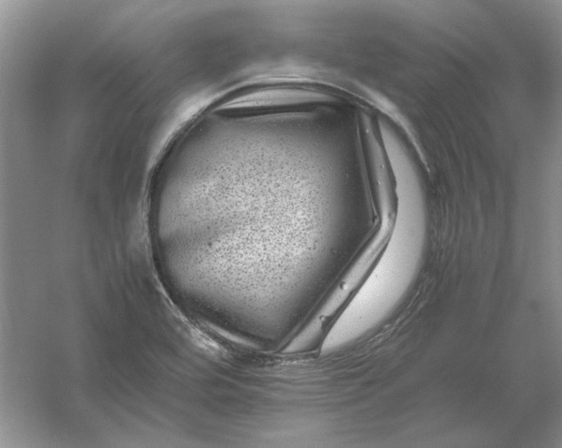 X0000061141464200512022234