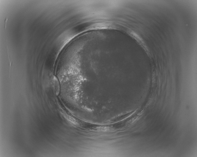 X0000061141465200512022234