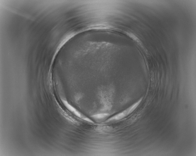 X0000061141466200512022234