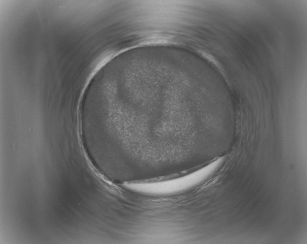 X0000061141467200512022234