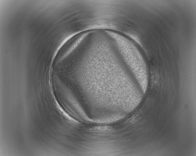 X0000061141468200512022234