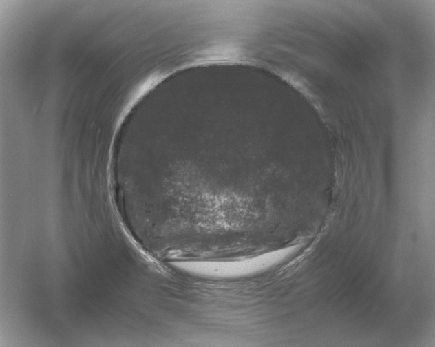 X0000061141469200512022234