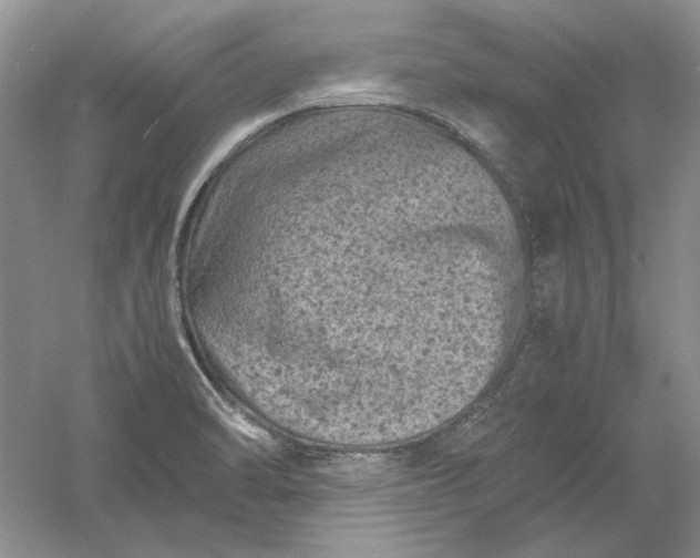 X0000061141470200512022234