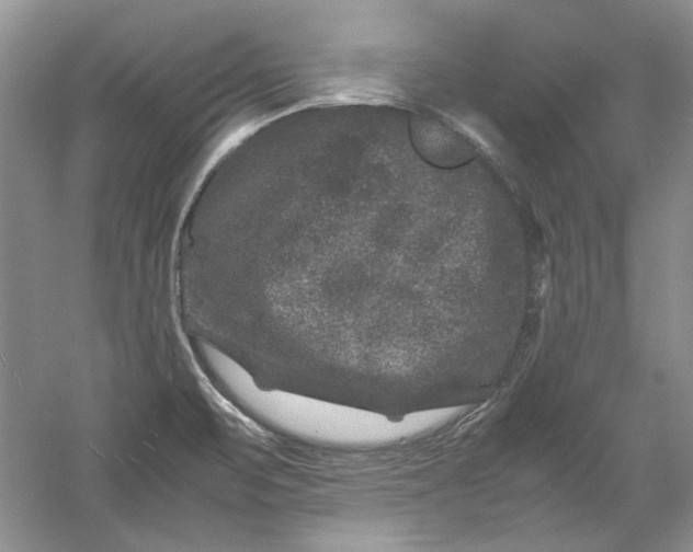 X0000061141471200512022234