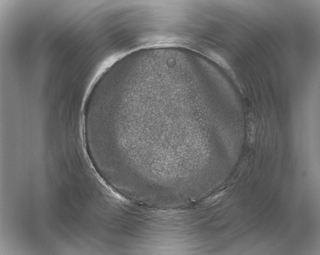 X0000061141472200512022234