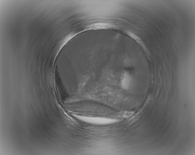 X0000061141473200512022234