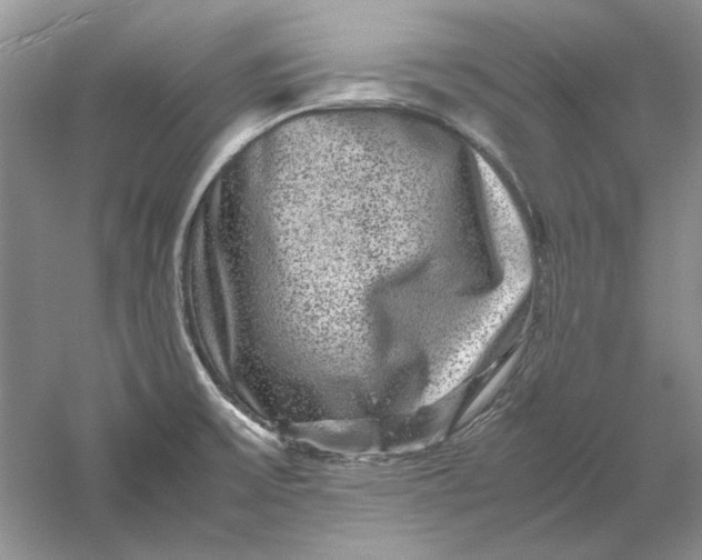 X0000061141475200512022234