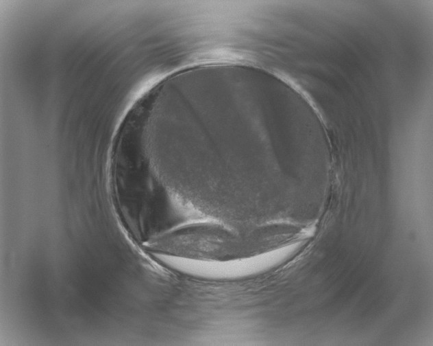 X0000061141477200512022234