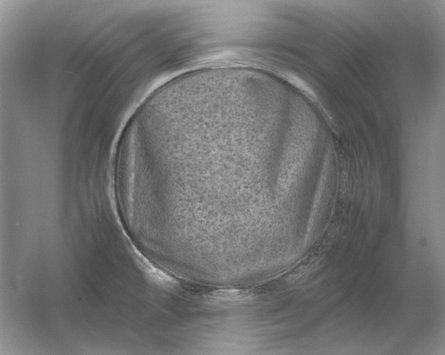 X0000061141478200512022234