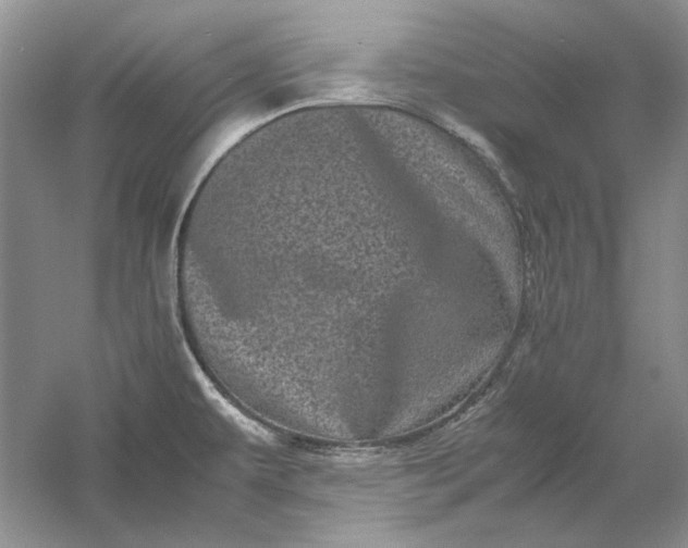 X0000061141479200512022234