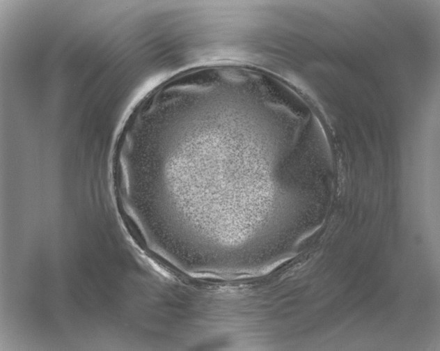 X0000061141480200512022234