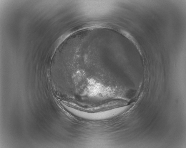 X0000061141481200512022234