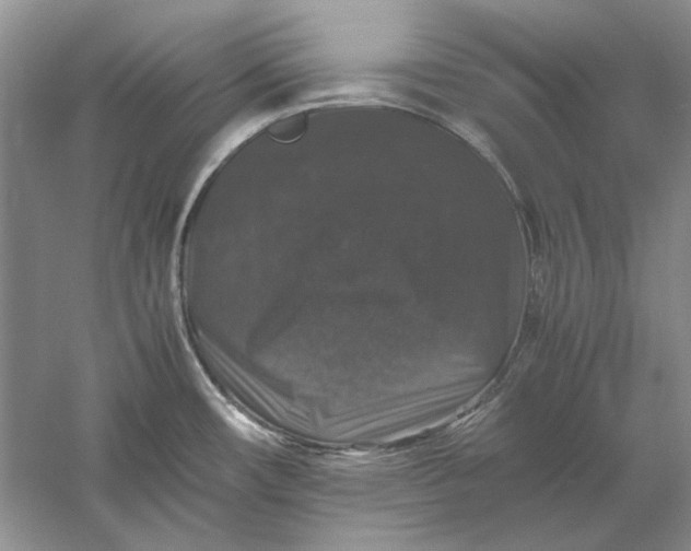 X0000061141482200512022234