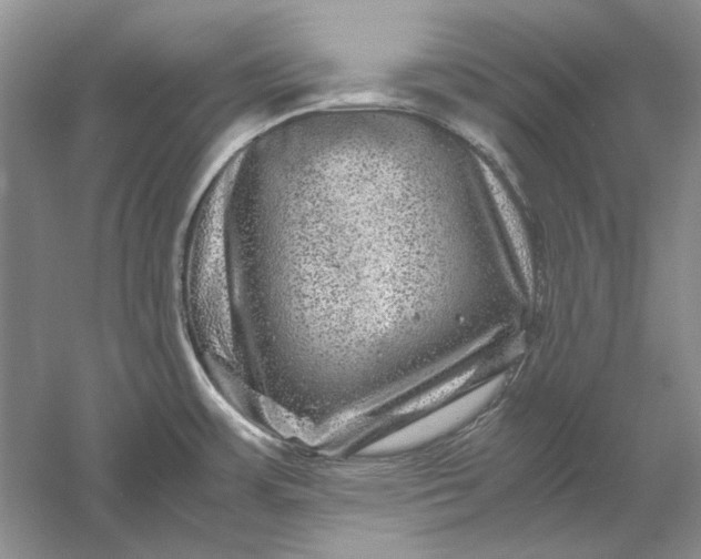 X0000061141483200512022234