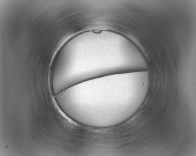 X0000061141484200512022234