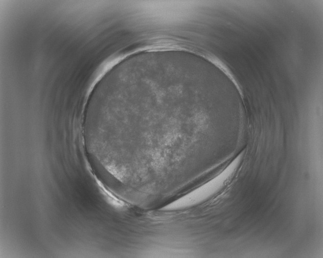 X0000061141485200512022234