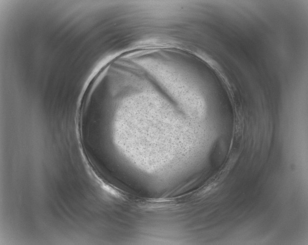 X0000061141486200512022234