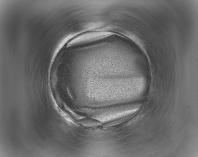 X0000061141488200512022234