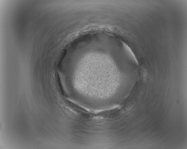 X0000061141489200512022233