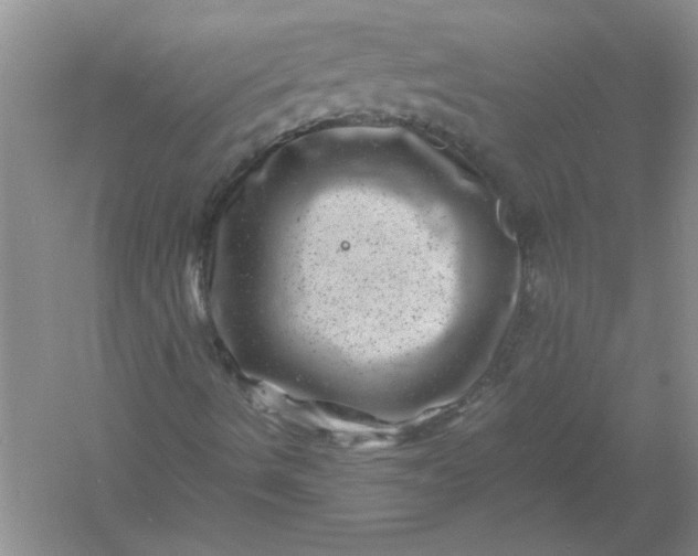 X0000061141490200512022233