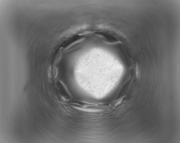 X0000061141492200512022233