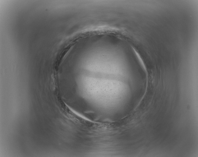 X0000061141493200512022233