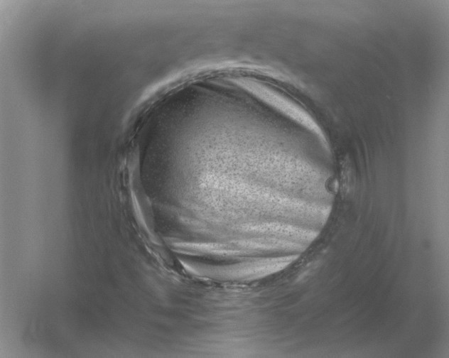 X0000061141494200512022233