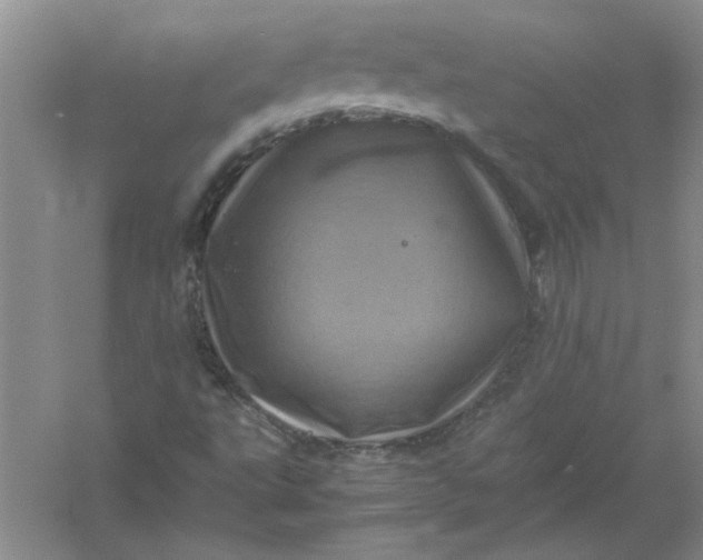 X0000061141495200512022233