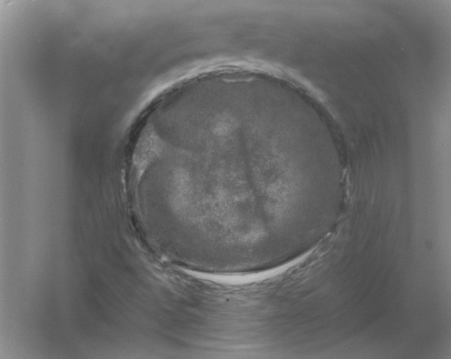 X0000061141496200512022233