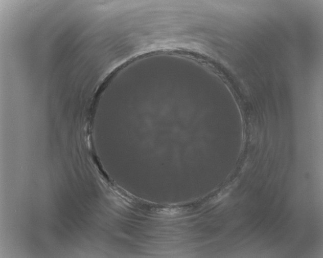 X0000061141497200512022233