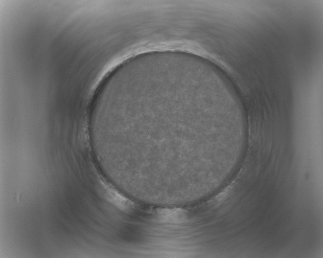 X0000061141498200512022233