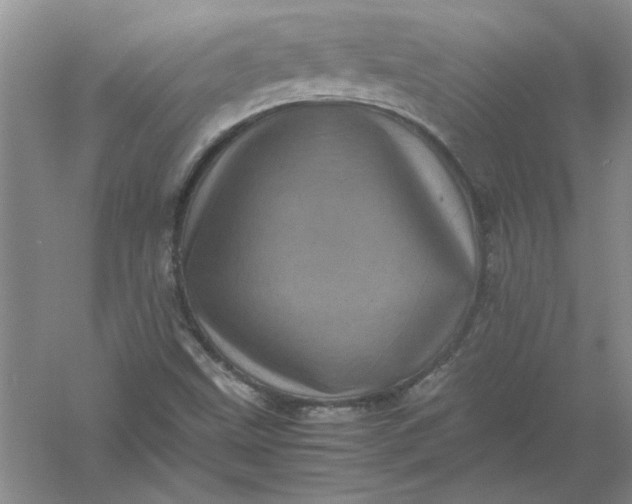 X0000061141499200512022233