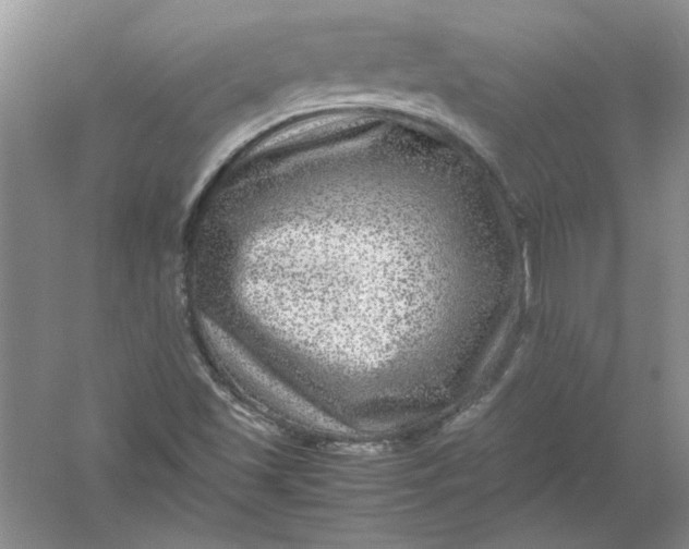 X0000061141501200512022233