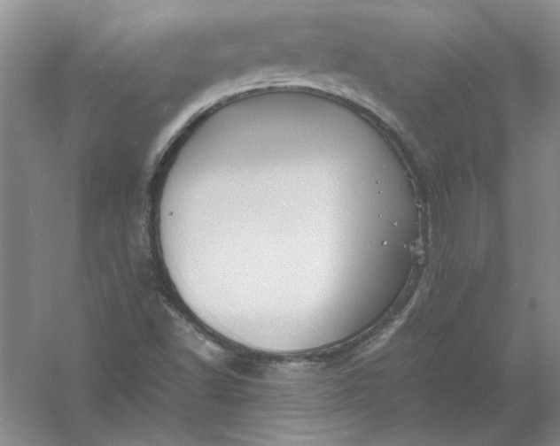 X0000061141502200512022233