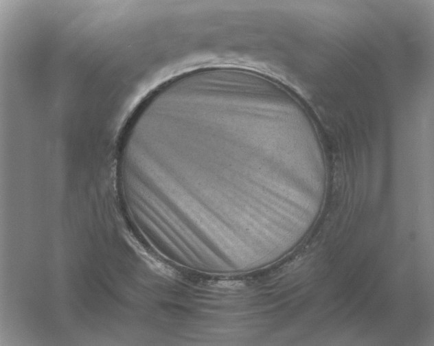 X0000061141503200512022233